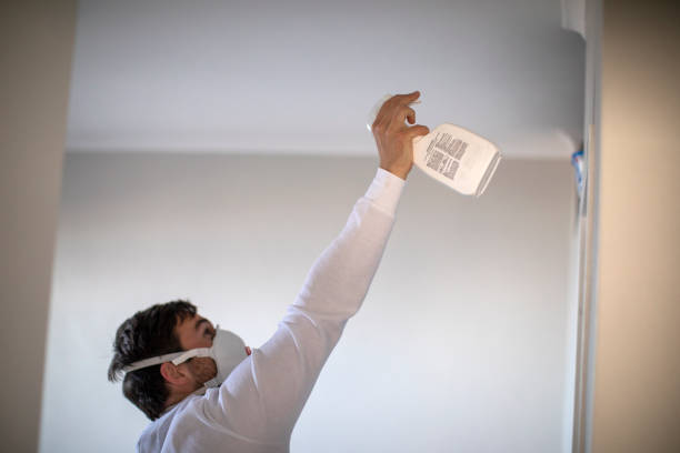 Best Residential Mold Remediation in Cedar Bluff, VA
