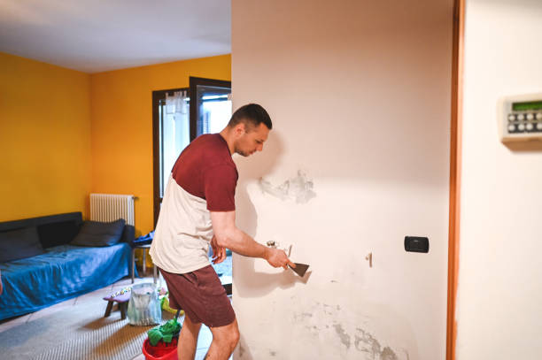 Best Mold Testing and Inspection Services in Cedar Bluff, VA